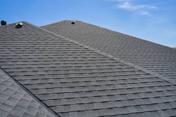 Roof Coating Services in Winsted, MN